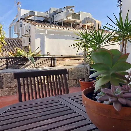 Mediterranea En El Centrico Casco Antiguo A Un Paso Del Mar