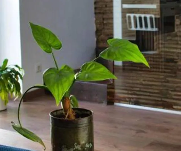 Holiday home Casa San Vicente Casa Comoda Y Bien Ubicada En Cerca Del Mar *